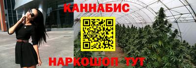 спиды Можга