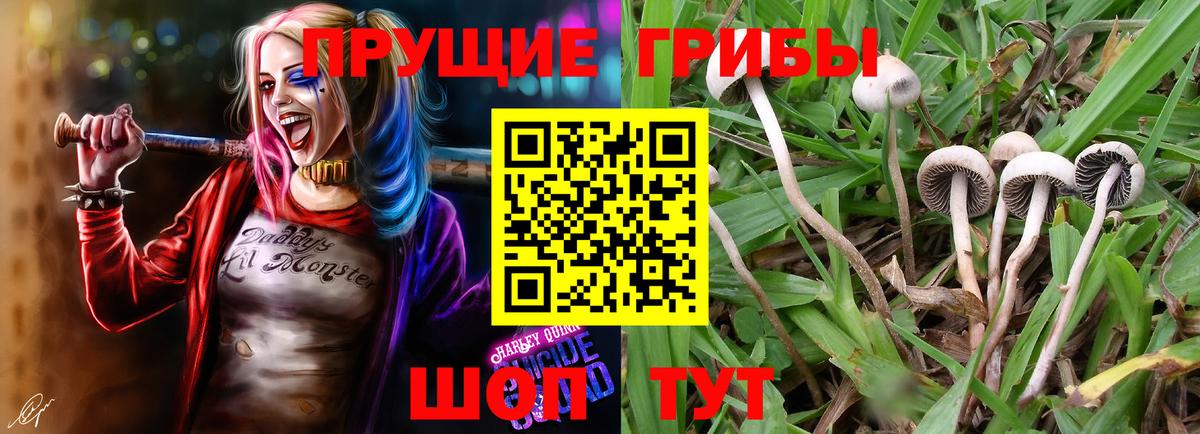 Соль-Илецк  Галлюциногенные грибы прущие грибы  Псилоцибиновые грибы Magic Shrooms  Вход с VPN 